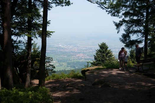 Panorama on Alsace landscape during summer vacation