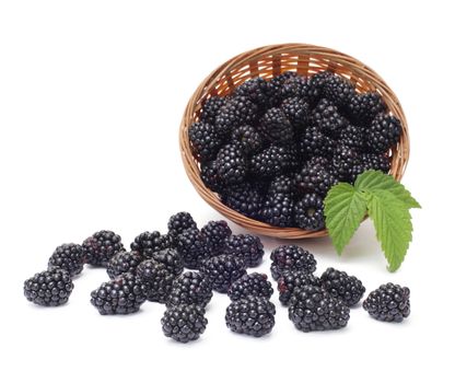 Fresh blackberry with leaf in basket