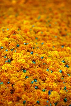 Background of bright orange Marigold flowers which are traditionally used during the rituals of Dassera festival in India.