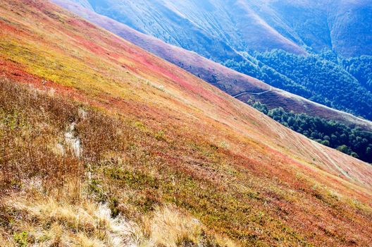 National Park The best of Mountain autumn in  Ukraine