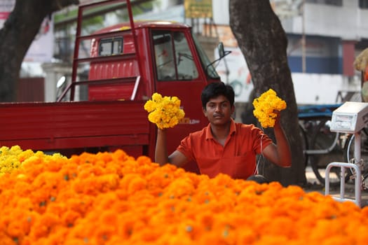 Pune, India - October 21, 2015: A man shows off his fresh marigold flowers in his streetside shop in India, on the eve of Dassera festival