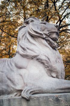 Lion Statue New York Public Library Manhattan