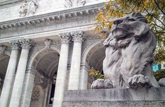 Lion Statue New York Public Library Manhattan