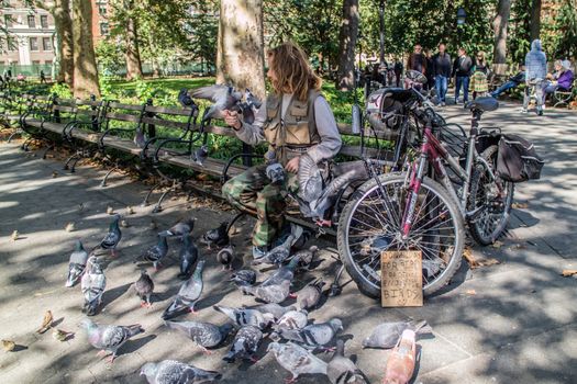 NEW YORK, USA, October 10, 2015: An unidentified lonely man plays with a lot of birds in Washington Square Garden in Manhattan, New York City.