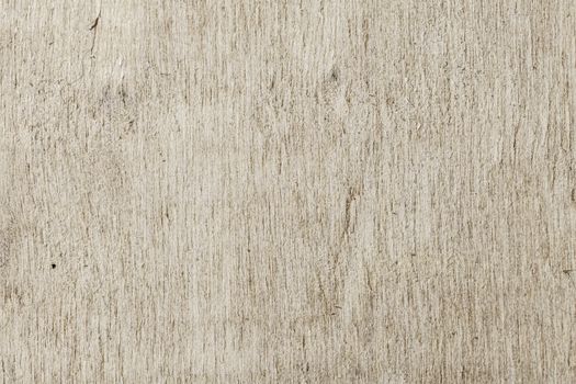 The Texture of grunge wood background. Closeup