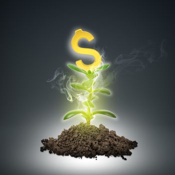 Ground with green plant and gold dollar sign on abstract background