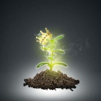 Ground with green plant and gold crown sign on abstract background