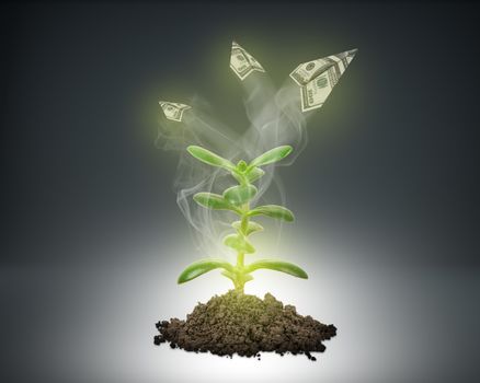 Ground with green plant and paper planes sign on abstract background