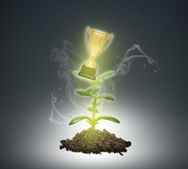 Ground with green plant and winner cup sign on abstract background