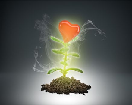 Ground with green plant and heart symbol sign on abstract background