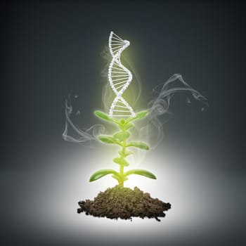Ground with green plant and humans DNA sign on abstract background
