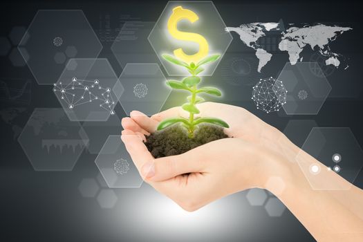 Womans hands holding plant with ground and dollar sign on abstract background