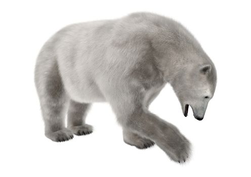 3D digital render of a polar bear isolated on white background