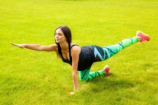 The beautiful pregnant woman practices yoga on a lawn