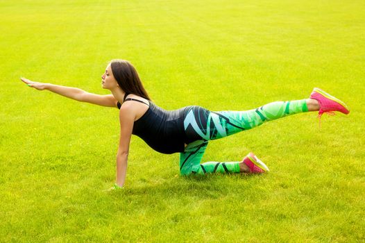 The beautiful pregnant woman practices yoga on a lawn