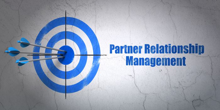 Success finance concept: arrows hitting the center of target, Blue Partner Relationship Management on wall background