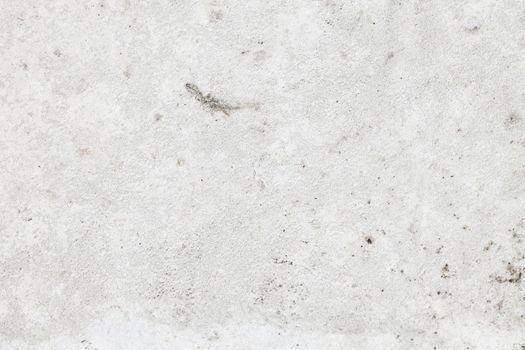 Grunge White Background Cement Old Texture Wall