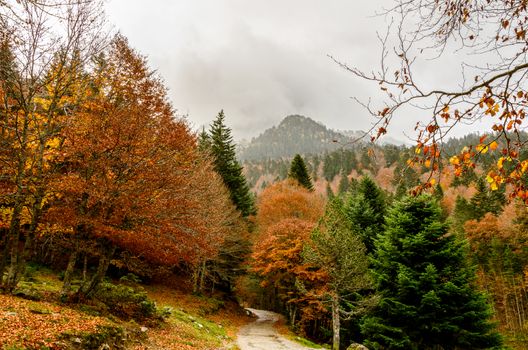 This is an outstanding mountain walk around the seven Ayous Lakes at the head of the Ossau Valley, visiting the Refuge d'Ayous. The views of the Pic du Midi d'Ossau and the surrounding area are simply wonderful. Wildlife abounds with deer, 