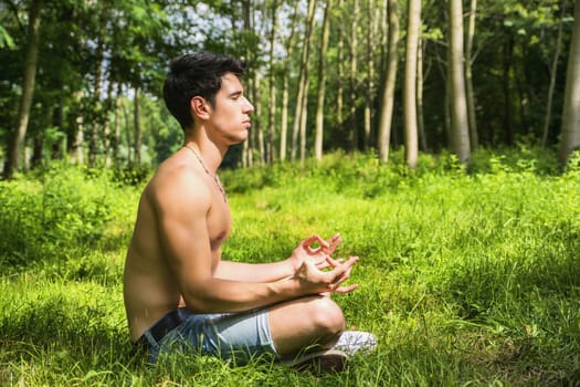 Profile of handsome Shirtless Young Man During Meditation or Doing an Outdoor Yoga Exercise Sitting Cross Legged on Grassy Ground Alone in Woods
