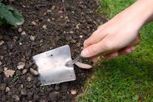 Woman uses a metal hand trowel to dig in the soil of her garden flower bed