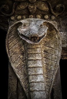 Sculpture of a cobra snake carved into the rock.