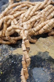 BONDI, AUSTRALIA - OCTOBER 22, 2015;  Annual Sculpture by the Sea free public event.  Exhibit titled Twist of Fate by Jane Gillings, a sculpural piece made entirely of used champagne corks.