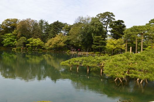 Japanese traditional garden in Kanazawa