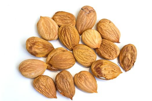 Apricot kernel on a white background