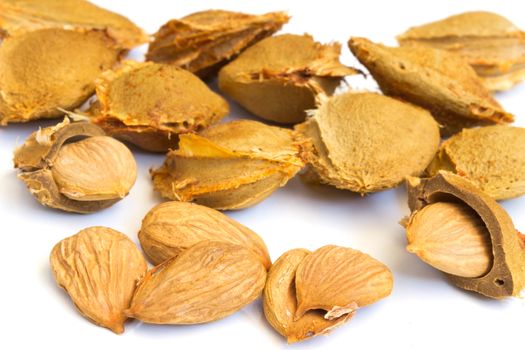 Seeds and apricot kernel on a white background