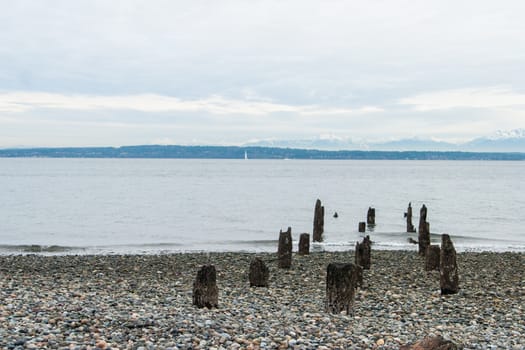 Old dock with only posts surviving