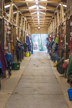 Inside view of a stable