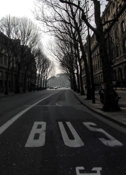 Street in Paris, spring.