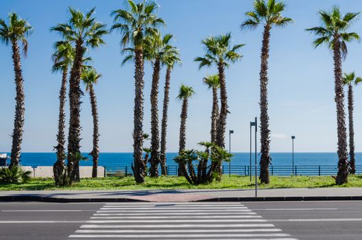 The beach road along Mediterranean sea. Italy.