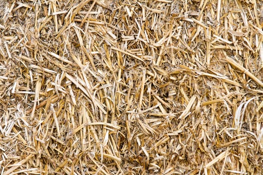 Hay bale texture up close