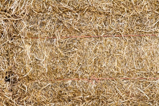 Texture of hay tied up