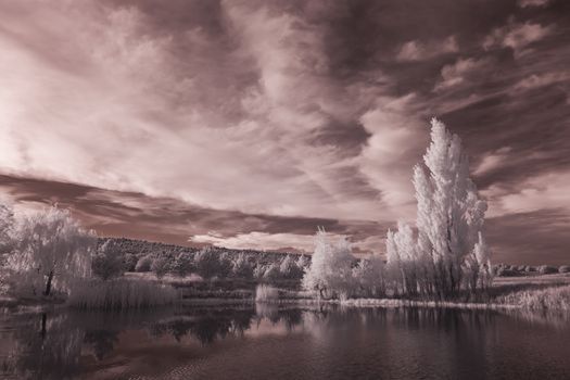 A pond in the Arizona desert