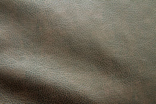 Slightly wrinkled leather showing detail