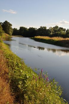 Louet river in Anjou