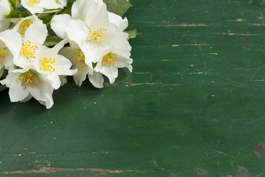 Jasmine white flower on a  old green wooden table