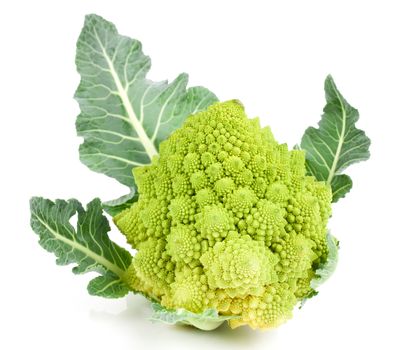 Rare broccoli. Romanesco broccoli cabbage, isolated on white background