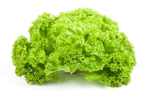 Fresh lettuce isolated on white background