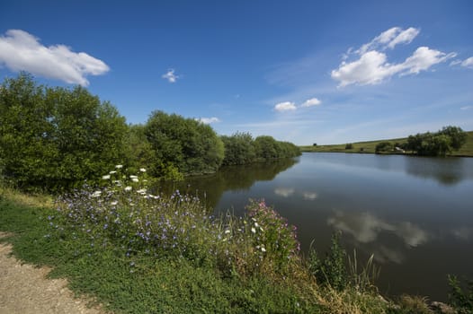 Country landscape, flowers near the lake in summer