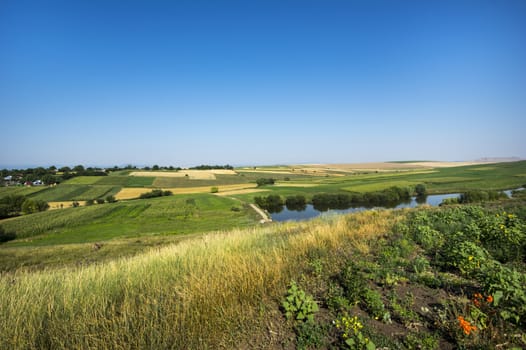 Summer fields in a rural landscape