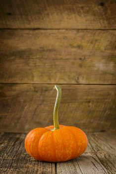 Single ripe pumpkin on a weathered wooden background with copy space.