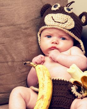 An infant of two months old is propped in a moneky costume with an 8x10 picture format.