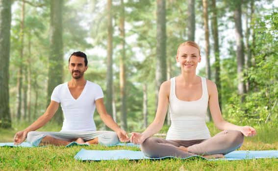 sport, fitness, yoga and people concept - smiling couple meditating and sitting on mats over green woods background