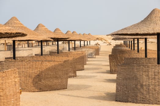 In the picture a group of beach parasols in Egypt