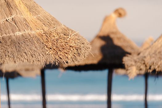 Beach umbrellas on the tropical beach in Goa, India