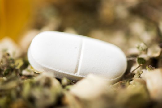 White Pill on herbal background. The focus is on the pill.