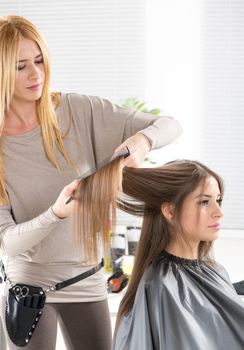 Young beautiful woman in a hair salon getting her hair cut by the hairdresser.